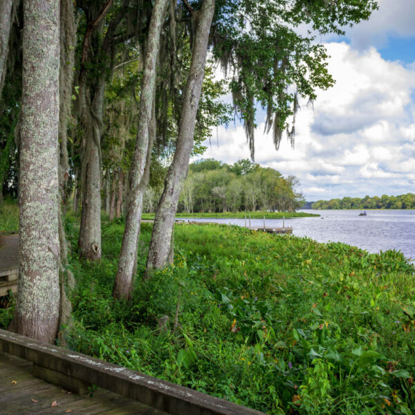 Savannah River and boardwalk in River Island subdivision,Evans GA
